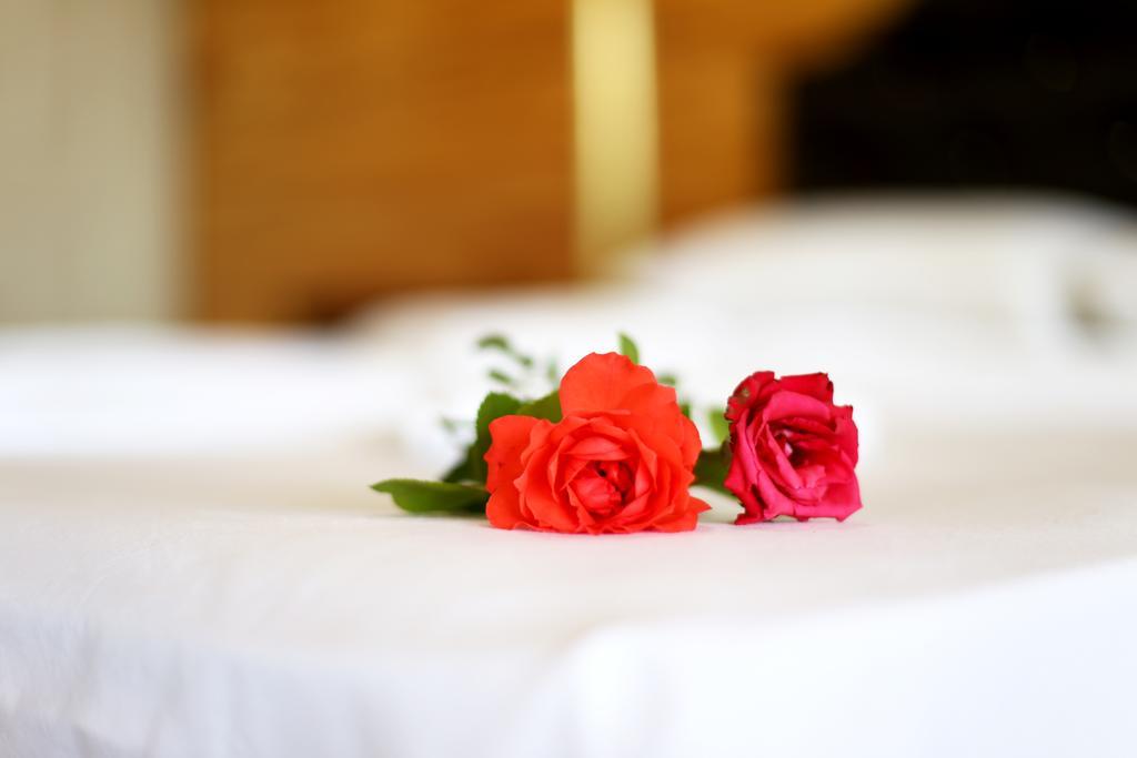 Adrasan Shambala Hotel Bilik gambar